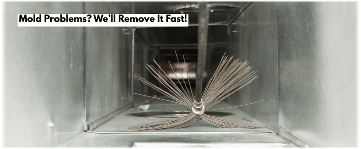 Air Duct Mold Removal in Phoenix AZ